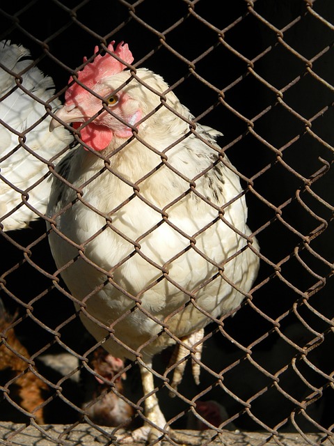 的体育培训 的体育培训