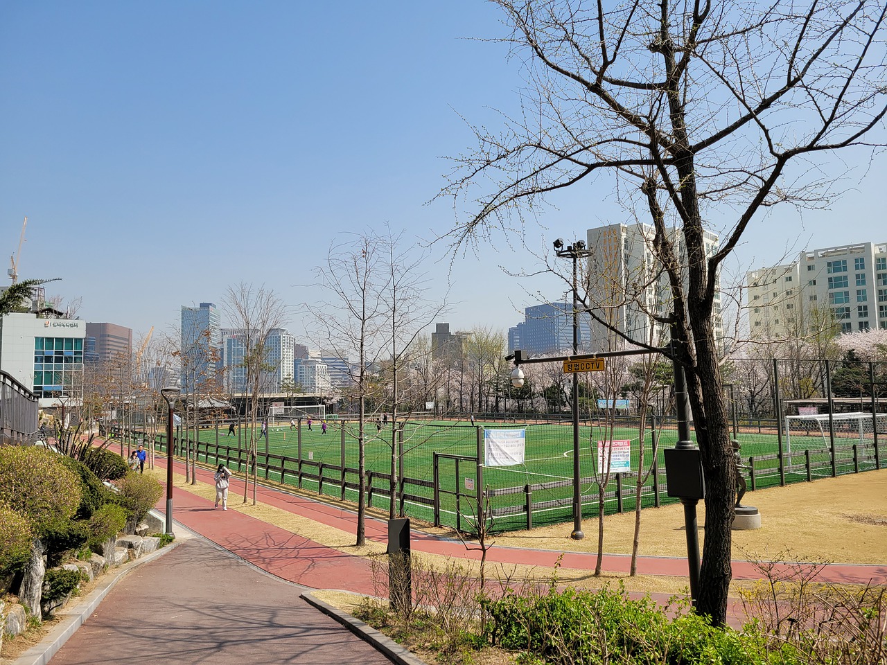 剂强心针 剂强心针