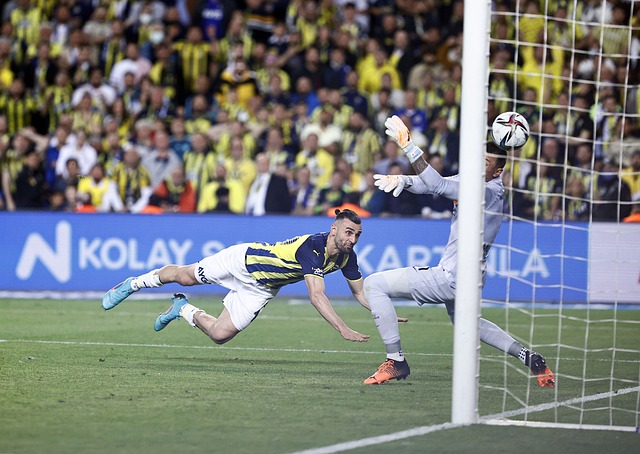 这不仅是一 这不仅是一