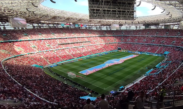 他们凭借灵 他们凭借灵