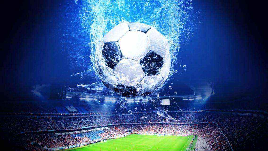 活增添了新 活增添了新